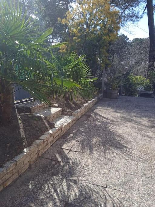 Maison Au Dessus Du Lac De بيسكاروس المظهر الخارجي الصورة